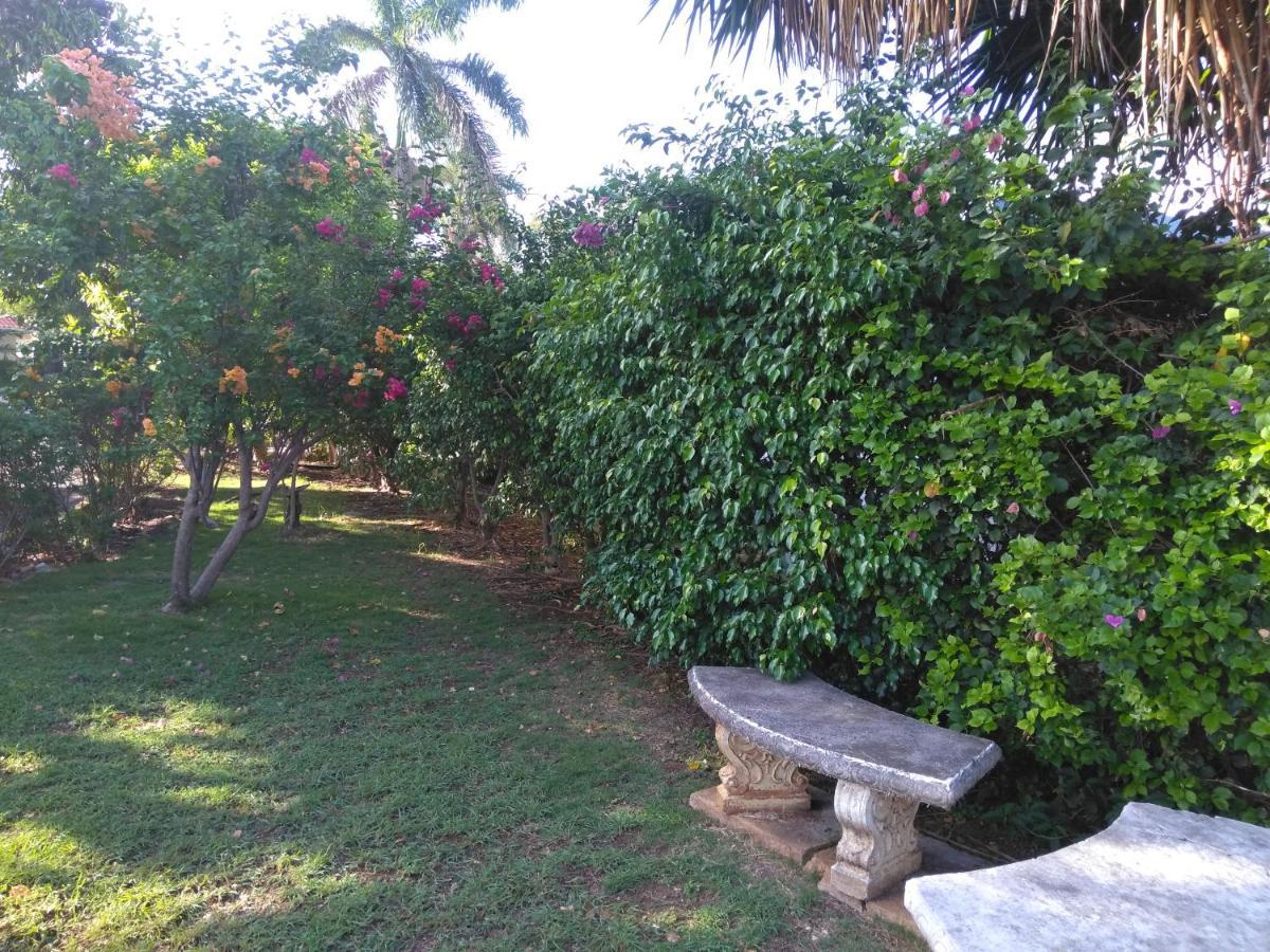 Apartment Irresistible View-mobay Club 1408 *