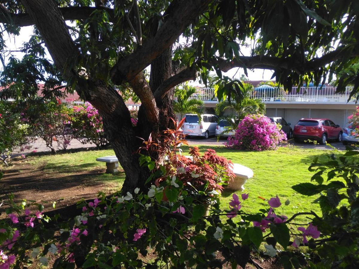Apartment Irresistible View-mobay Club 1408 *