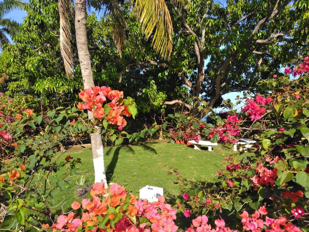 Irresistible View-mobay Club 1408 * Montego Bay