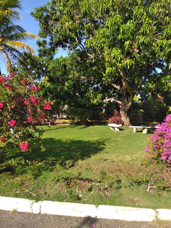 Irresistible View-mobay Club 1408 * Montego Bay